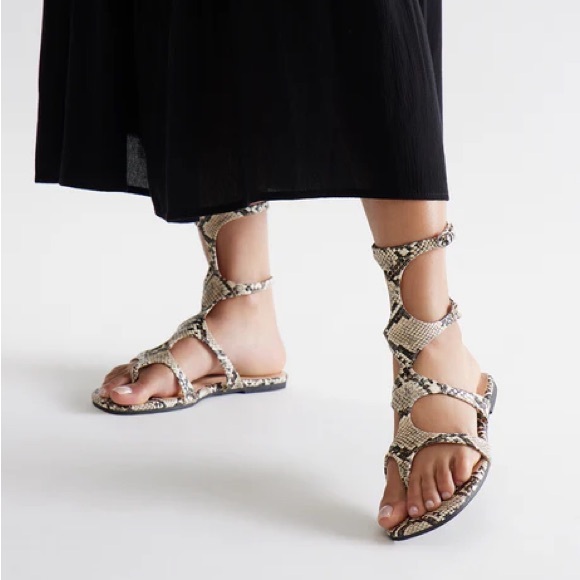 Snake Print Gladiator Sandals - Picture 4 of 7
